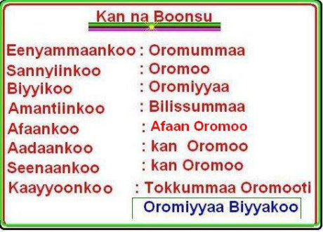 Hibboo Afaan Oromoo Pdf